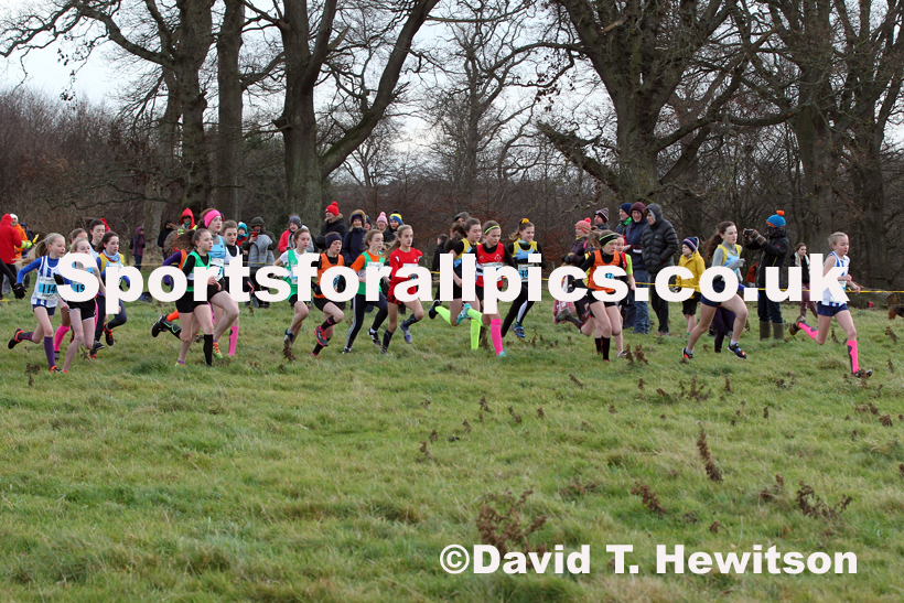 Girls under-13s cross country, 2019 North Eastern Cross Country Champs., Alnwick, Northumberland.  Photo: David T. Hewitson/Sports for All Pics
